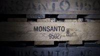        Monsanto   