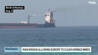 Иран може да позволи на Европа да разчисти от мини Ормузкия проток