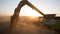 Рисковете за търговията със зърно растат с изтеглянето на ключови търговци от Русия