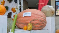 Кадър на деня за 11 октомври