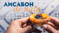 &bdquo;България Еър&ldquo; стартира зимни полети между София и Лисабон