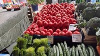 Доматите поевтиняват с близо 23% на борсите у нас тази седмица