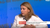 Икономист от БТПП: Бизнесът е против предвиденото преотстъпване на данък свръхпечалба при инвестиции