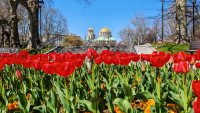 ОИСР понижи прогнозата си за растежа на България заради инфлацията и скъпата енергия