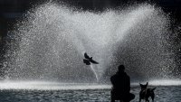 Кадър на деня за 12 октомври 