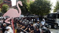 Десетки профили в Instagram бяха блокирани покрай "Революцията на фламингото" в Албания