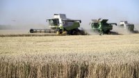Цените на основните зърнени стоки се движат разнопосочно на световните борси