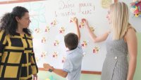 Как се прави трансфер на наученото в училище към практически житейски ситуации