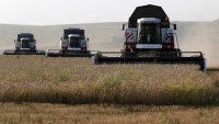 Агроминистърът: Няма риск украинско зърно да се продава като българско