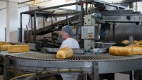 Агенцията по заетостта отчете безработица от 5,2% в България през юни 
