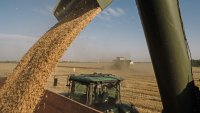 Пшеницата в САЩ и Франция поскъпна през седмицата, в Украйна и Русия поевтиня