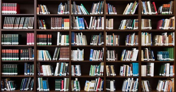 Българските читалища и библиотеките в тях са уникален феномен за