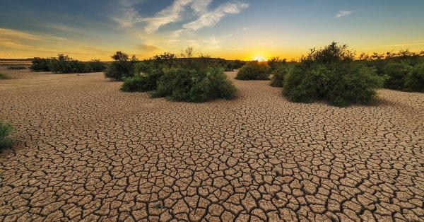 Ерозията на почвата може да доведе до загуба на 10