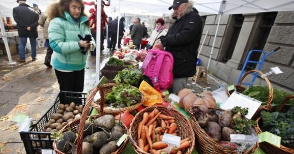 Как може да се стимулира пазарът на биопродукти в България Устойчивото