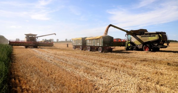 Руската инвазия в Украйна намали площите засети с царевица и