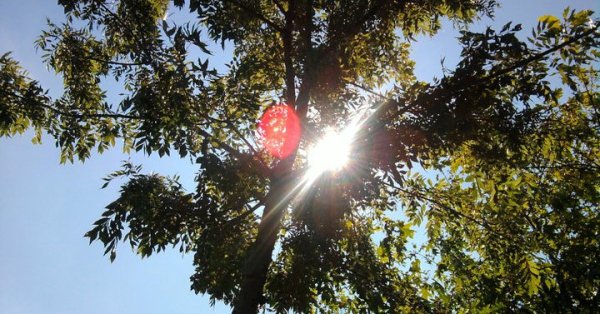 На базата на данните за производството на електроенергия в периода