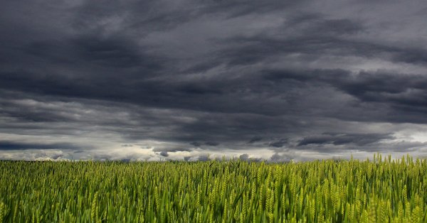 От пивоварите до животновъдите Кризата с торовете в Европа разтърсва