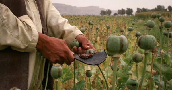 Талибаните забраниха криптовалутите в АфганистанГодина след идването на власт талибаните