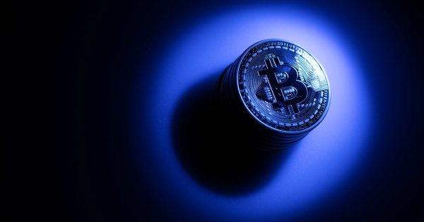 В проучването се твърди че от началото на войната до