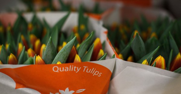 Според нея компаниите са готови да инвестират в енергийния преход но се