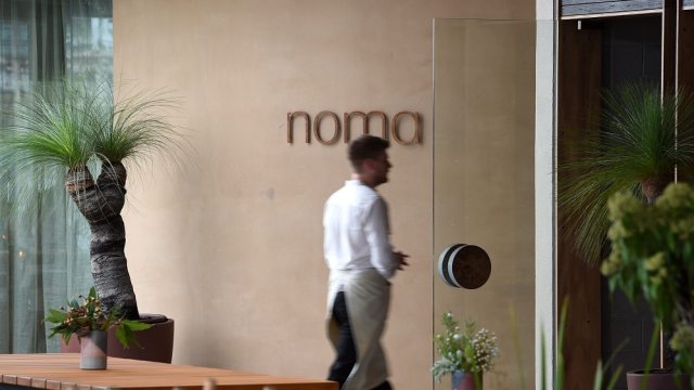 Рене Редзепи основател и главен готвач в Noma коментира че