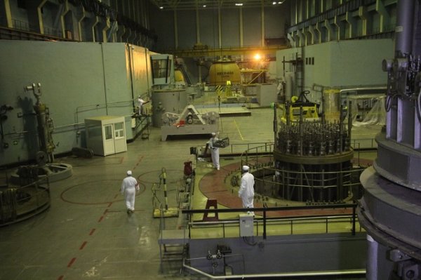 
	Отскоро е започнала работата по демонтажа на реактора на втори блок на АЕЦ &quot;Козлодуй&quot;. Снимка:&nbsp; ДП РАО
