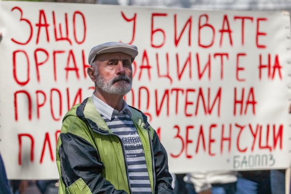 
	Около 150 производители от 13 браншови организации протестираха пред агроминистерството.&nbsp;Снимка: Димитър Кьосемарлиев, Investor Media Group
