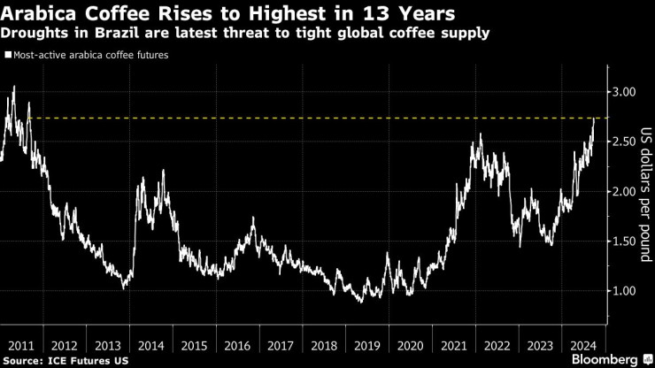 Кафето „Арабика“ поскъпва до най-високото си ниво от 13 години насам. Изображение: Bloomberg