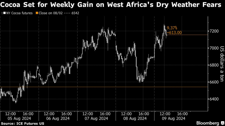 Какаото е напът да постигне седмичен ръст заради опасенията за сухо време в Западна Африка. Изображение: Bloomberg