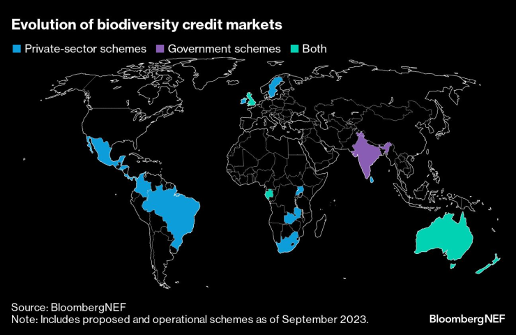 Развитие на кредитните пазари с фокус върху биоразнообразието. Графика: Bloomberg