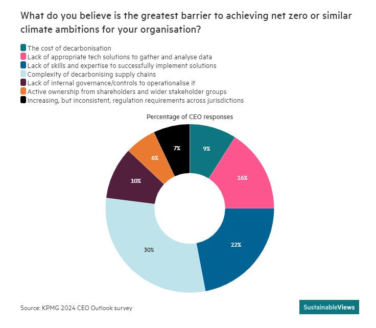 Анкета на KPMG сред изпълнителните директори в 11 развити икономики. Графика: Sustainable Views